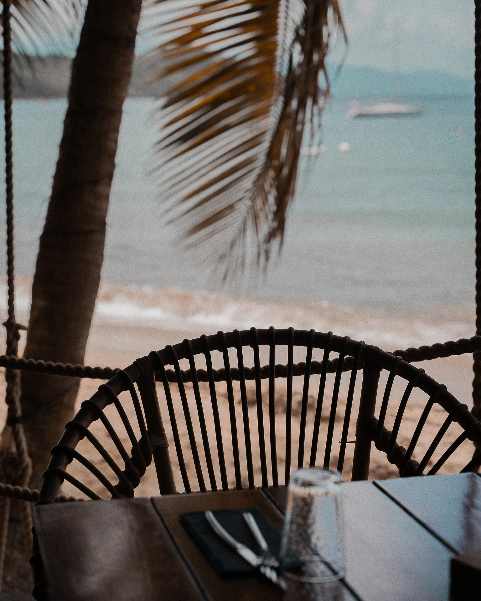 Palmiers et mer